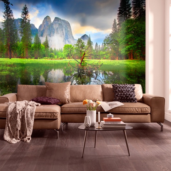 Wall Murals: Yosemite National Park 0