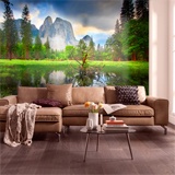 Wall Murals: Yosemite National Park 2