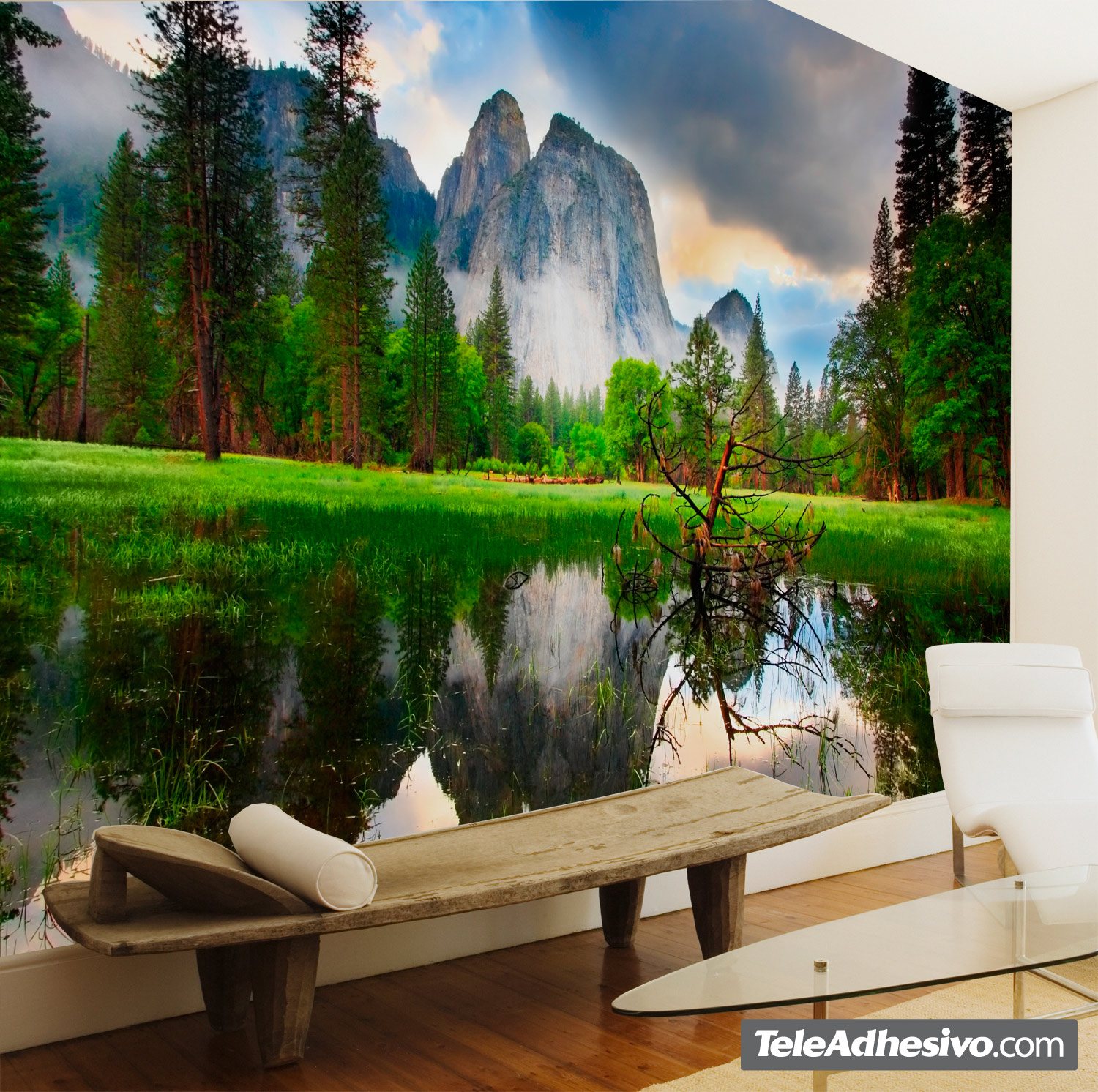 Wall Murals: Yosemite National Park