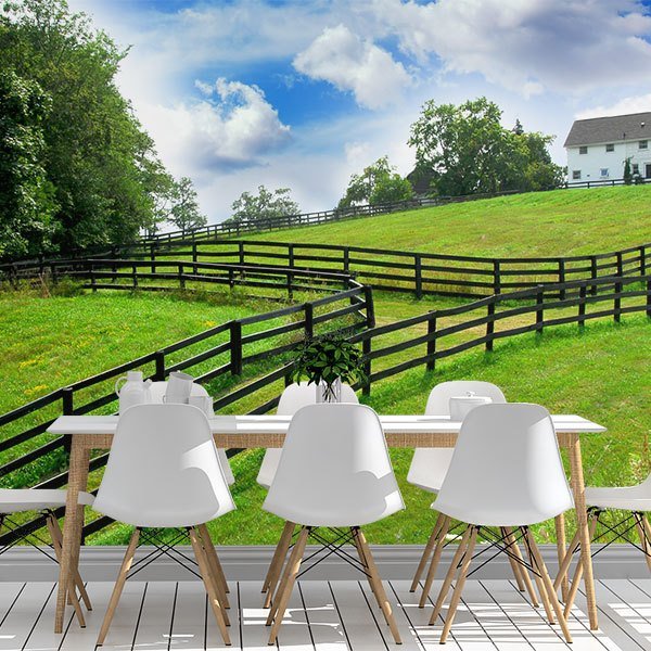 Wall Murals: The farm