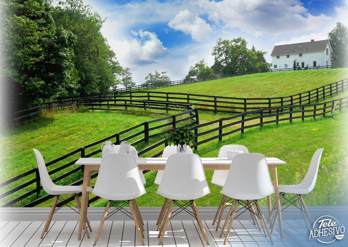 Wall Murals: The farm