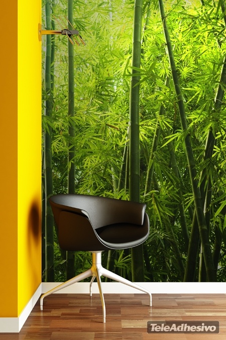 Wall Mural Bamboo Wall Mural Bamboo