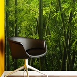 Wall Murals: Bamboo 2