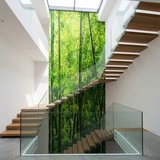 Wall Murals: Bamboo 11