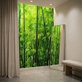 Wall Murals: Bamboo 12