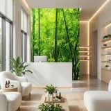 Wall Murals: Bamboo 14