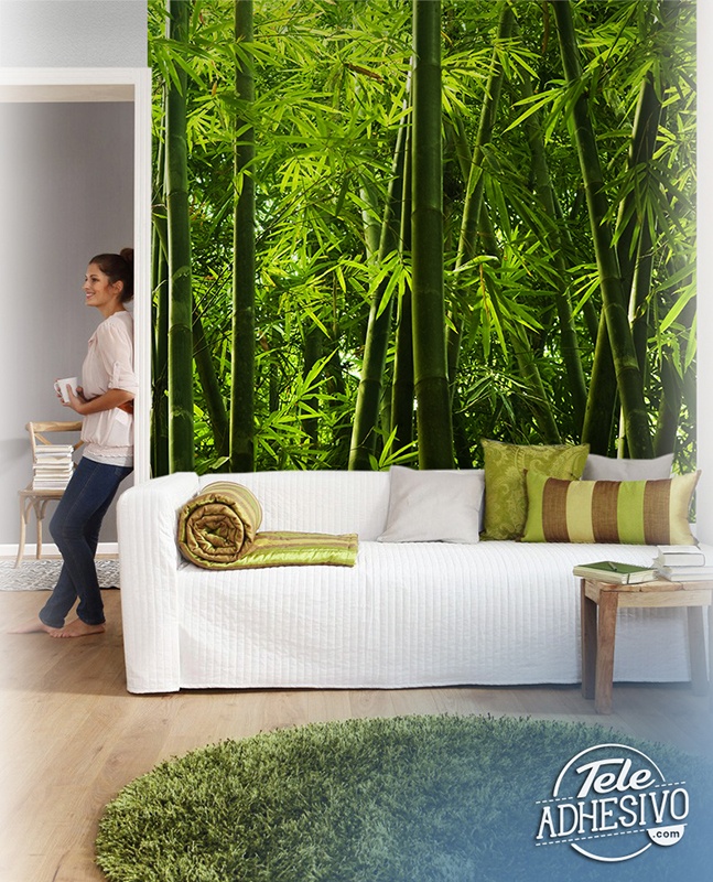 Wall Murals: Bamboo