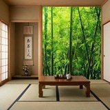 Wall Murals: Bamboo 6