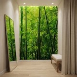 Wall Murals: Bamboo 10