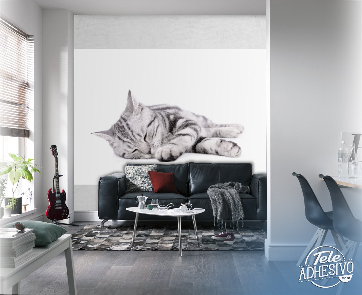 Wall Murals: Sleeping cat