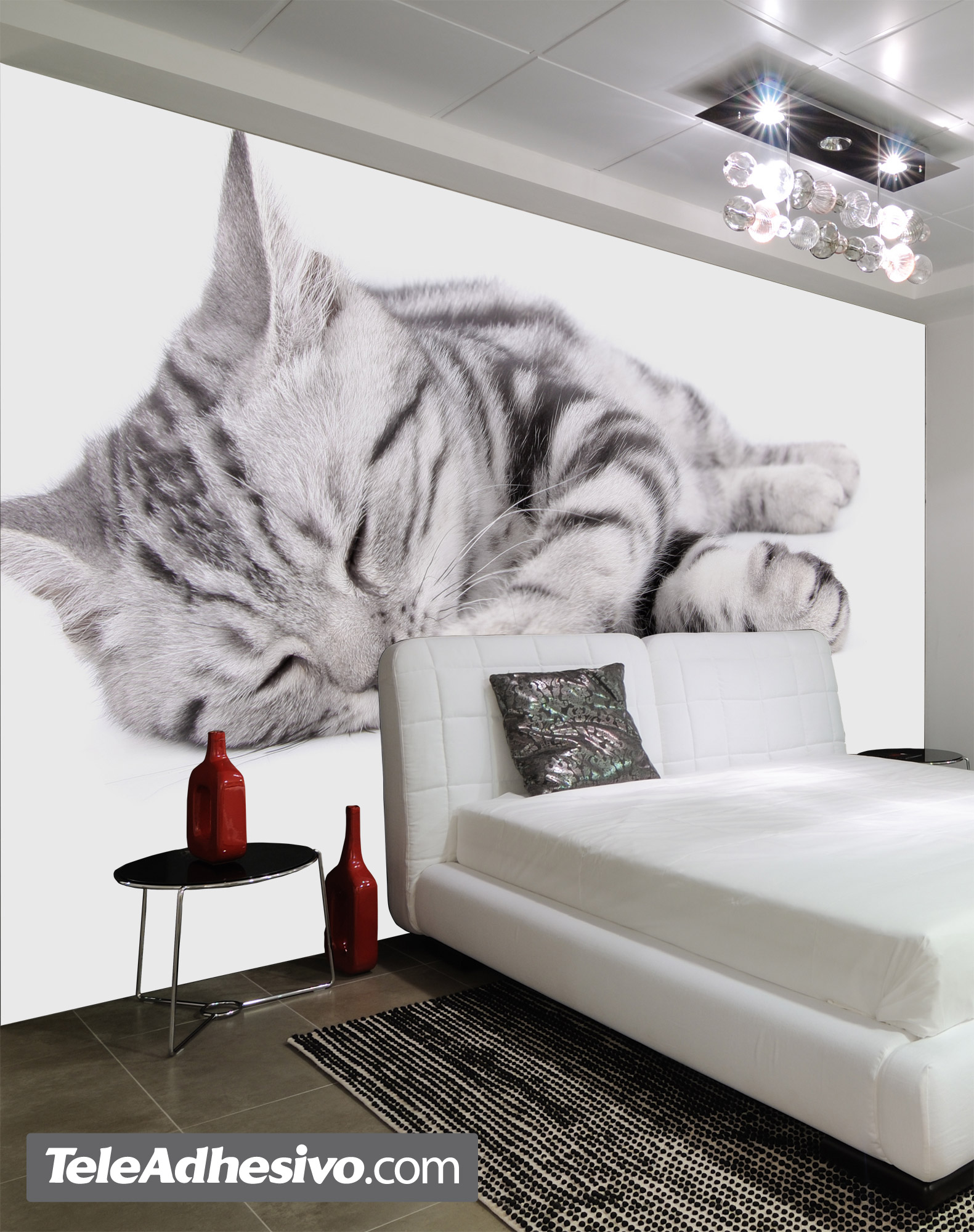 Wall Murals: Sleeping cat