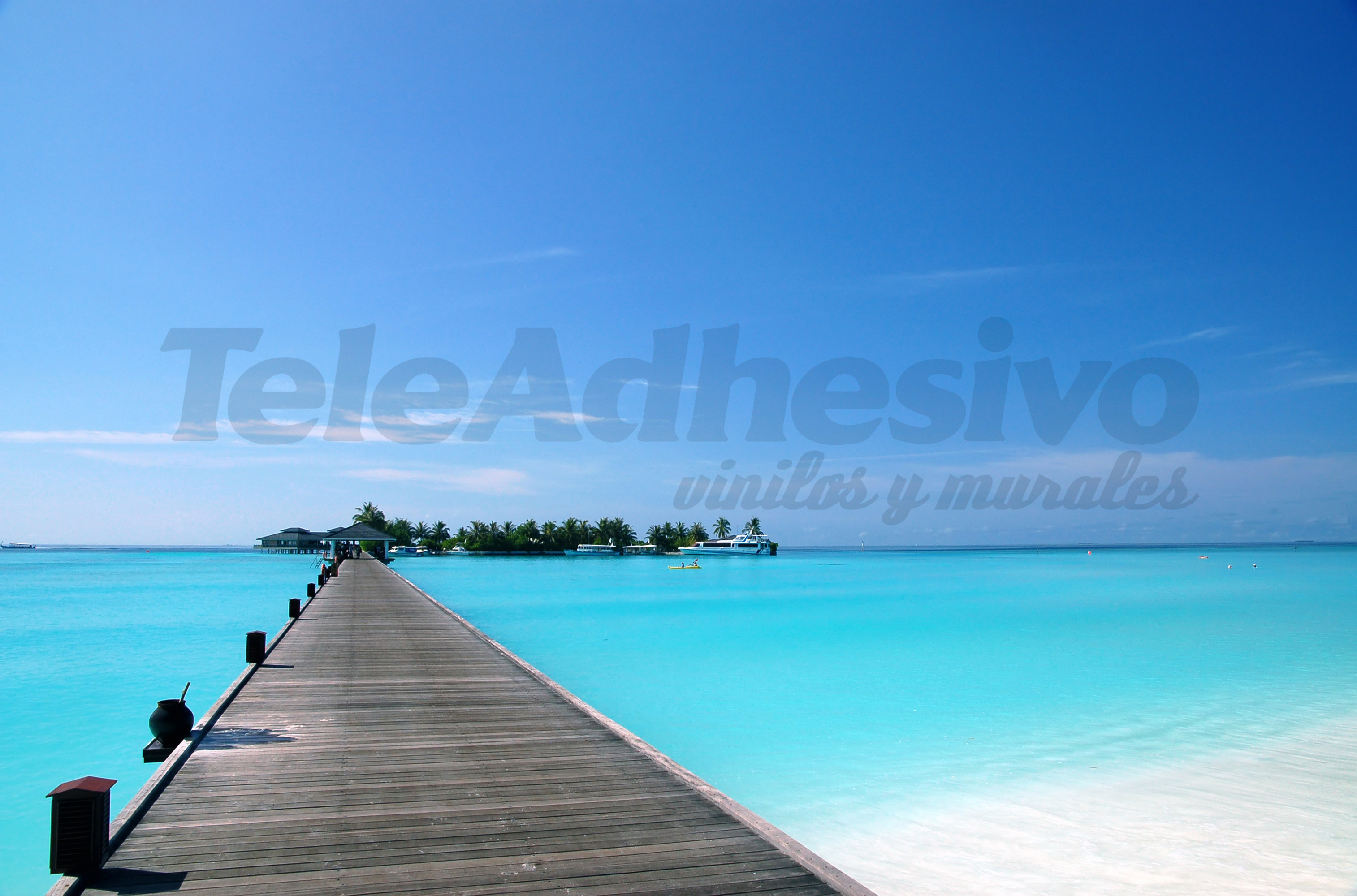 Wall Murals: Footbridge in the Caribbean