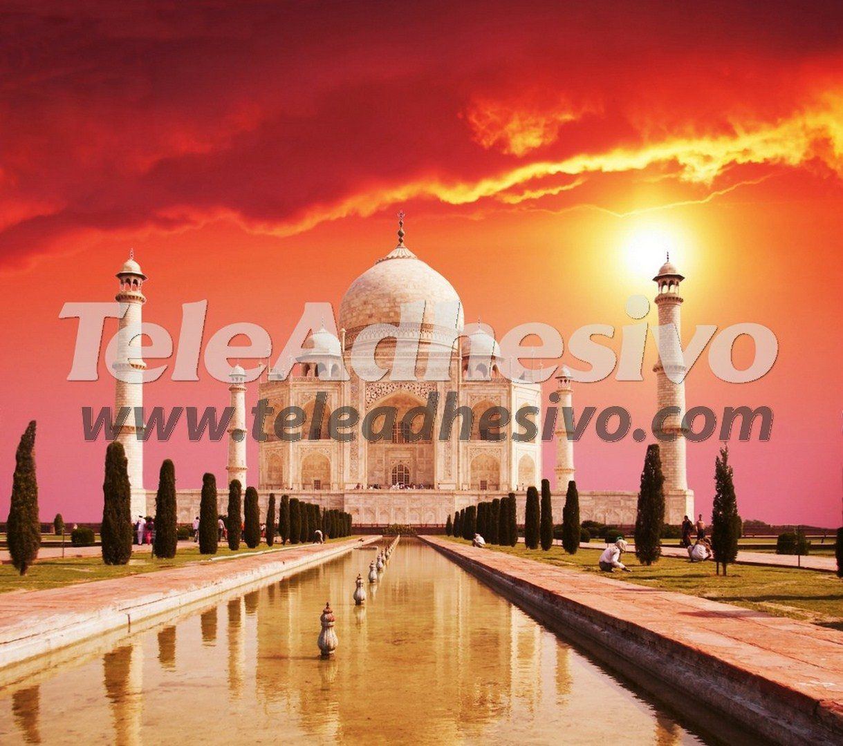 Wall Murals: Taj Mahal