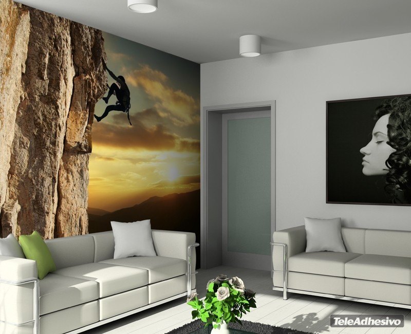 Wall Murals: Escalador