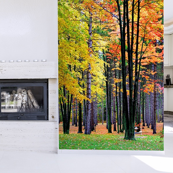 Wall Murals: Autumnal forest 0