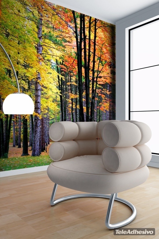 Wall Murals: Autumnal forest