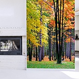 Wall Murals: Autumnal forest 3