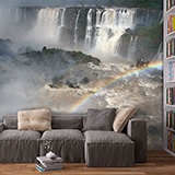 Wall Murals: Niagara Falls 2