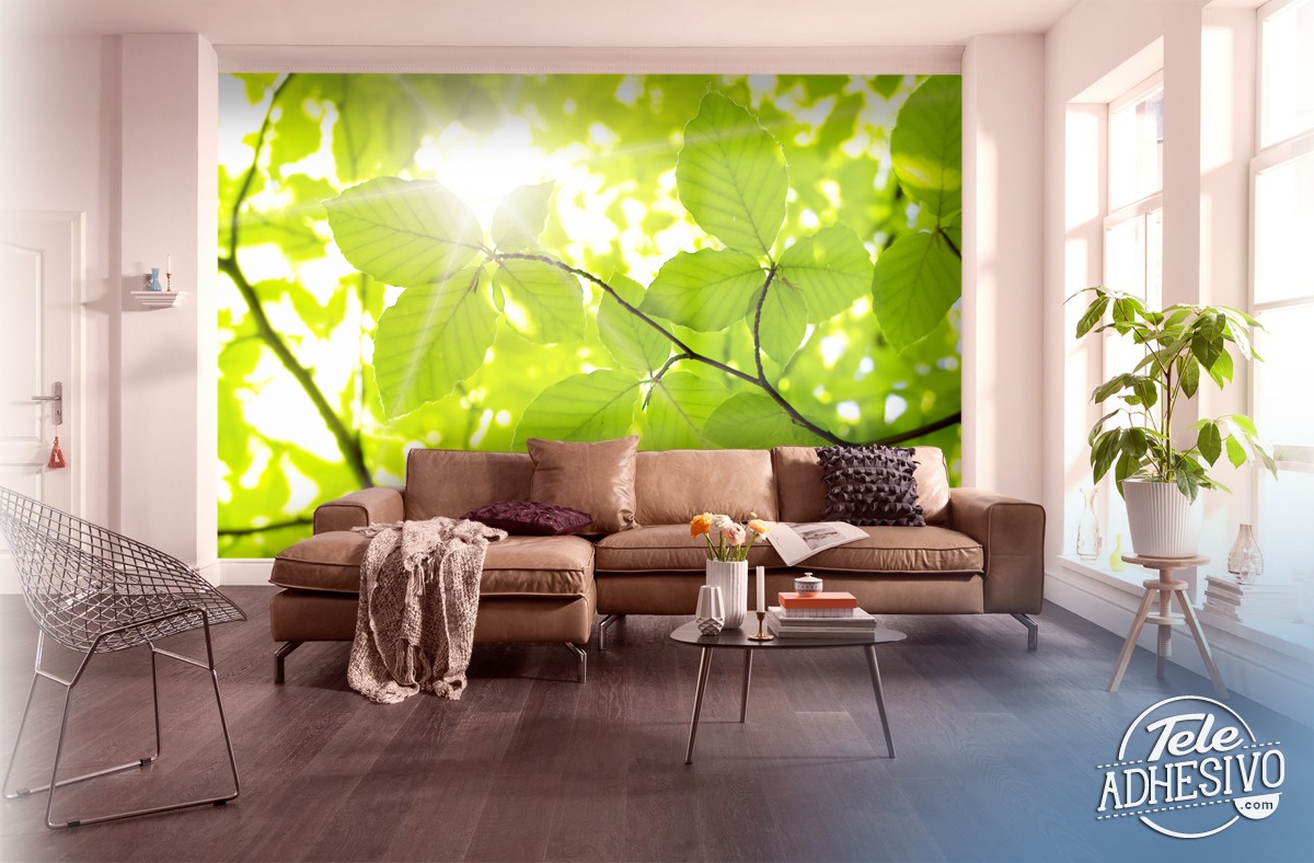 Wall Murals: Leaves