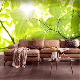 Wall Murals: Leaves 2