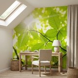 Wall Murals: Leaves 11