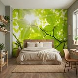 Wall Murals: Leaves 16