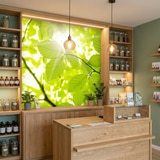 Wall Murals: Leaves 17