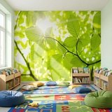 Wall Murals: Leaves 19