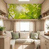 Wall Murals: Leaves 6