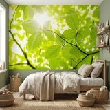Wall Murals: Leaves 9