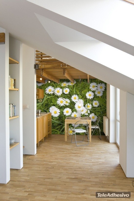 Wall Murals: Daisies