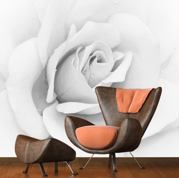 Wall Murals: Iceberg Rose