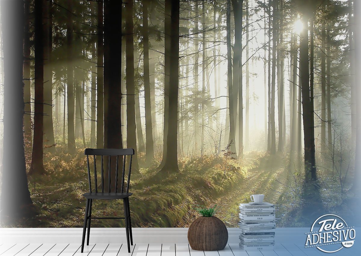 Wall Murals: Mysterious forest