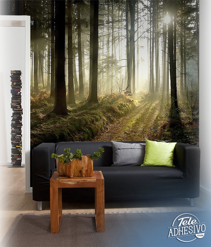 Wall Murals: Mysterious forest