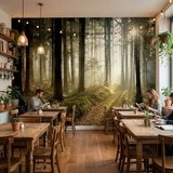 Wall Murals: Mysterious forest 5