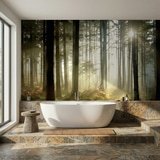 Wall Murals: Mysterious forest 9