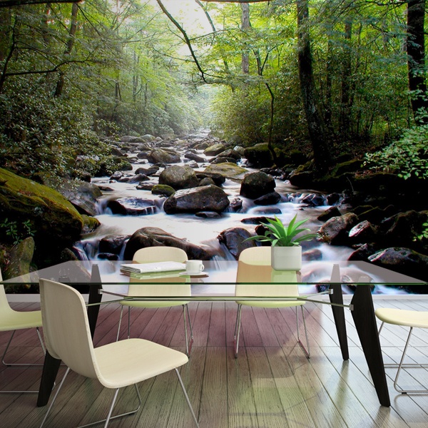 Wall mural River in the forest