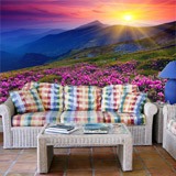 Wall Murals: Sunset in the mountains 2