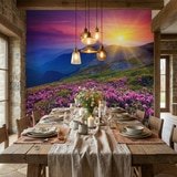 Wall Murals: Sunset in the mountains 11