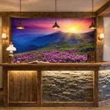 Wall Murals: Sunset in the mountains 12