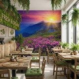 Wall Murals: Sunset in the mountains 17