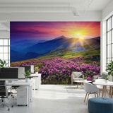 Wall Murals: Sunset in the mountains 10
