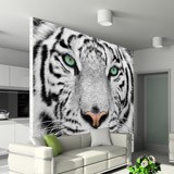 Wall Murals: White Tiger 2