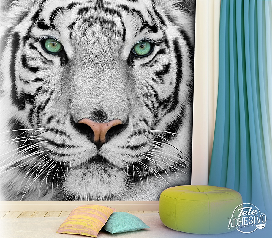 Wall Murals: White Tiger