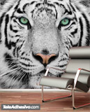 Wall Murals: White Tiger 4