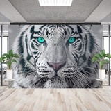 Wall Murals: White Tiger 2