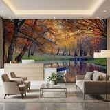 Wall Murals: Autumnal pond 6