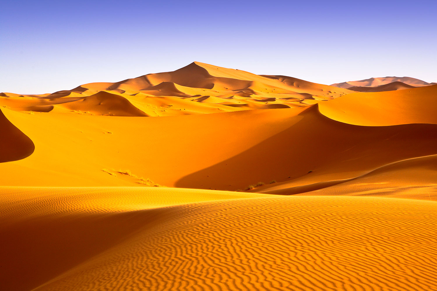 Wall Murals: Wall mural Sahara desert