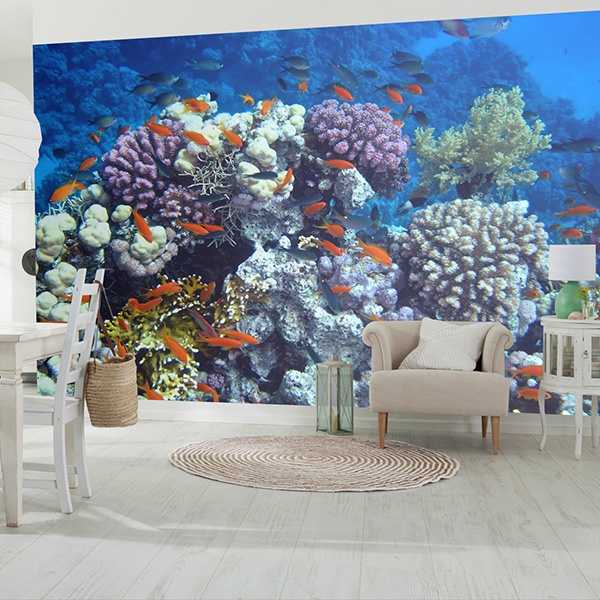 Wall Murals: Swimming in the coral