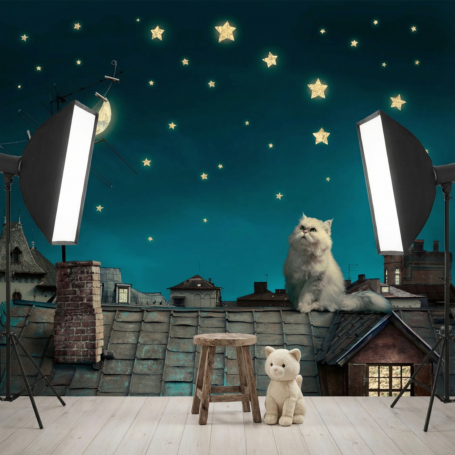 Wall Murals: Cat on the roof